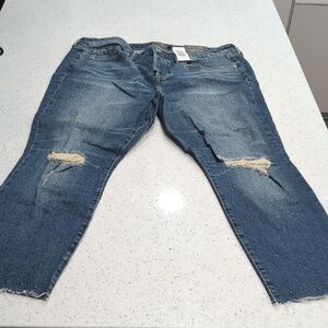 Torrid Relaxed Fit Distressed Blue Jeans